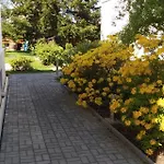 Apartmán Dream Františkovy Lázně