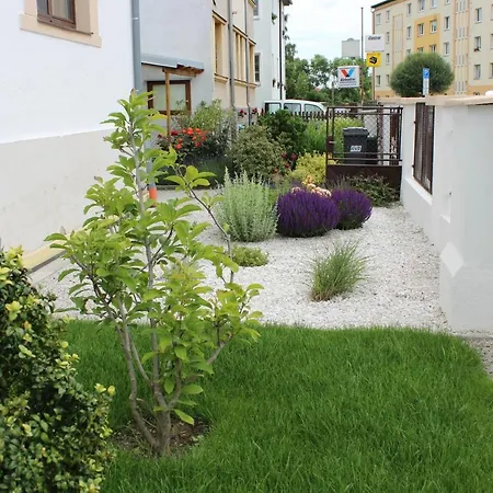 Dream * Frantiskovy Lazne