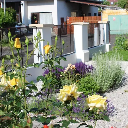 Dream Apartmán Františkovy Lázně