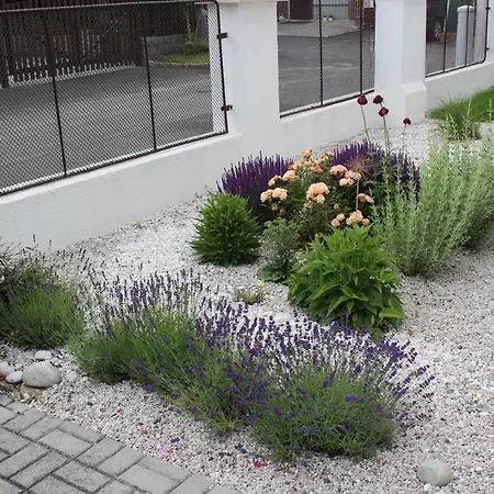 Dream Frantiskovy Lazne