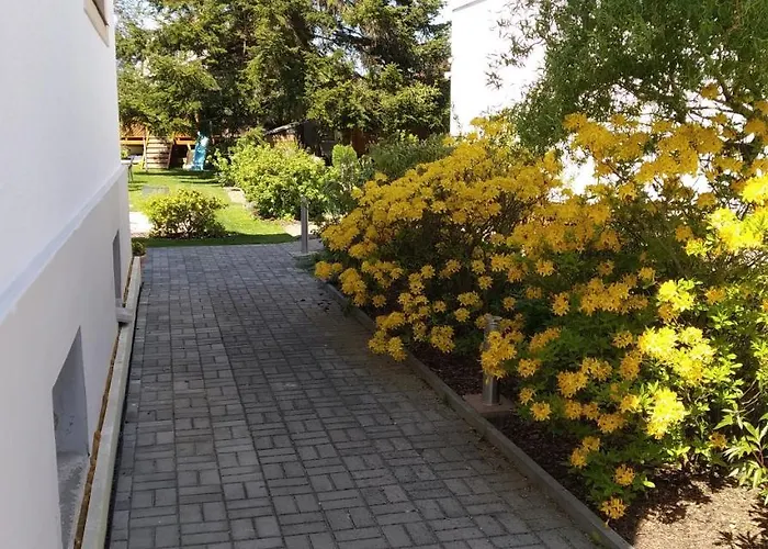 Appartement Dream Františkovy Lázně