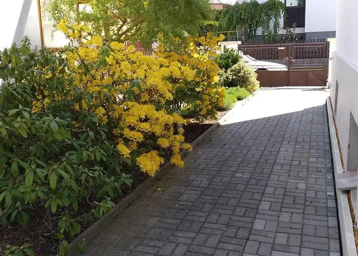 Dream Františkovy Lázně