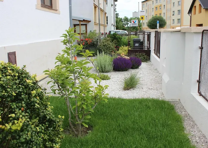 Dream * Františkovy Lázně