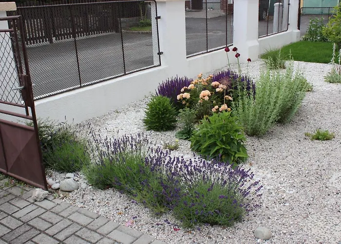 Dream Františkovy Lázně